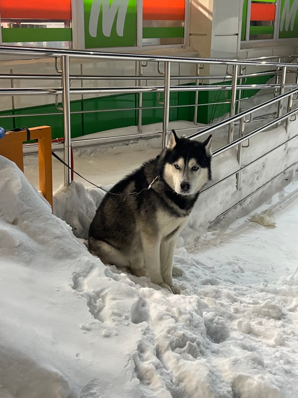 Daily winter life documented across snowy Noviy, Russia