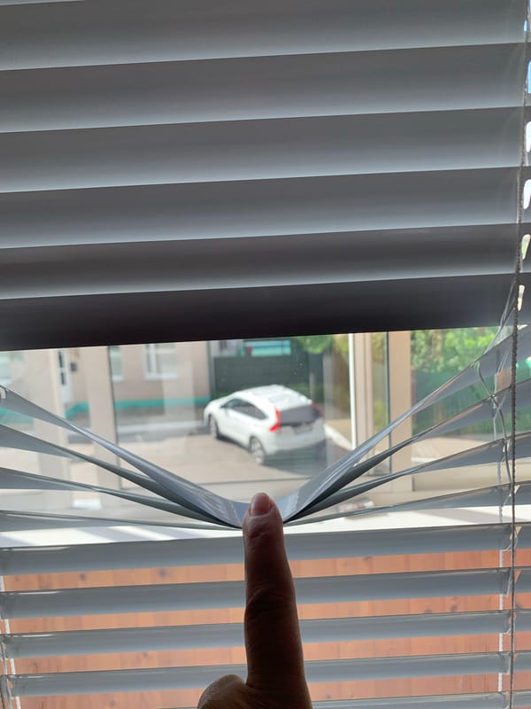 Peering through venetian blinds at parked car in Kapyĺ
