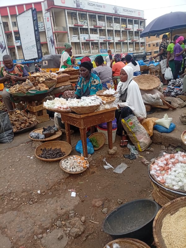 Morning market activity continues in Maiburiji, Nigeria