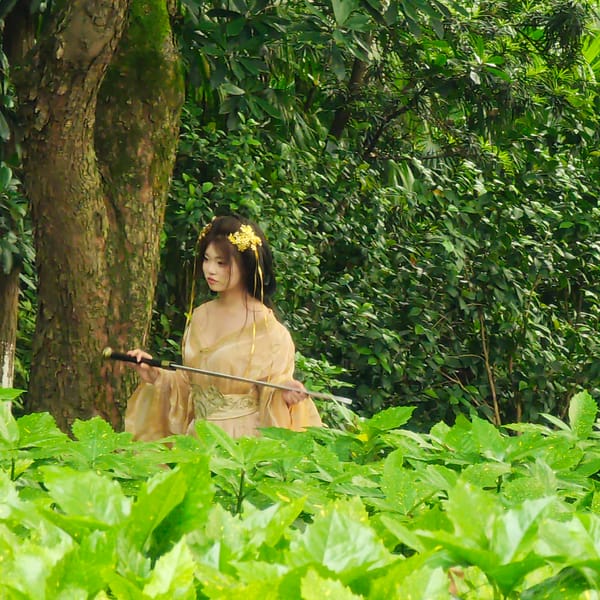 Traditional costume enthusiasts gather in Yuzhong District parks
