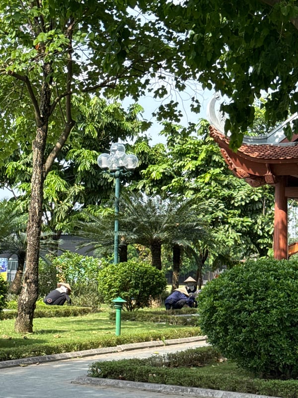 Morning park scene documented in Hà Nội, Vietnam