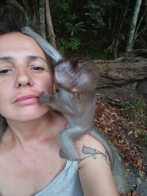 Macaque monkeys observed in Thailand forest during nighttime encounter