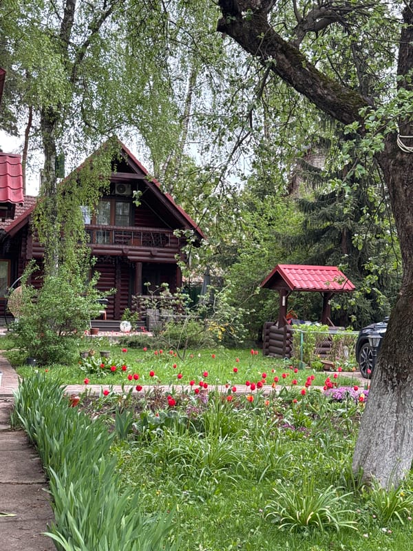 Spring blooms documented in Tomilino residential garden