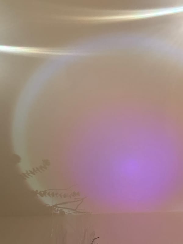 Indoor moments captured across Puebla home during brief evening session