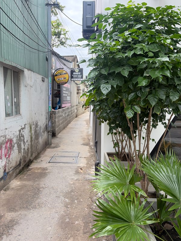 Street life in Da Nang's Son Tra District, quiet morning