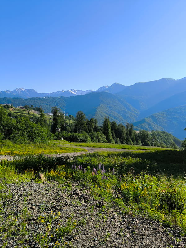 Summer scenes along the forested hills of Estosadok, Russia
