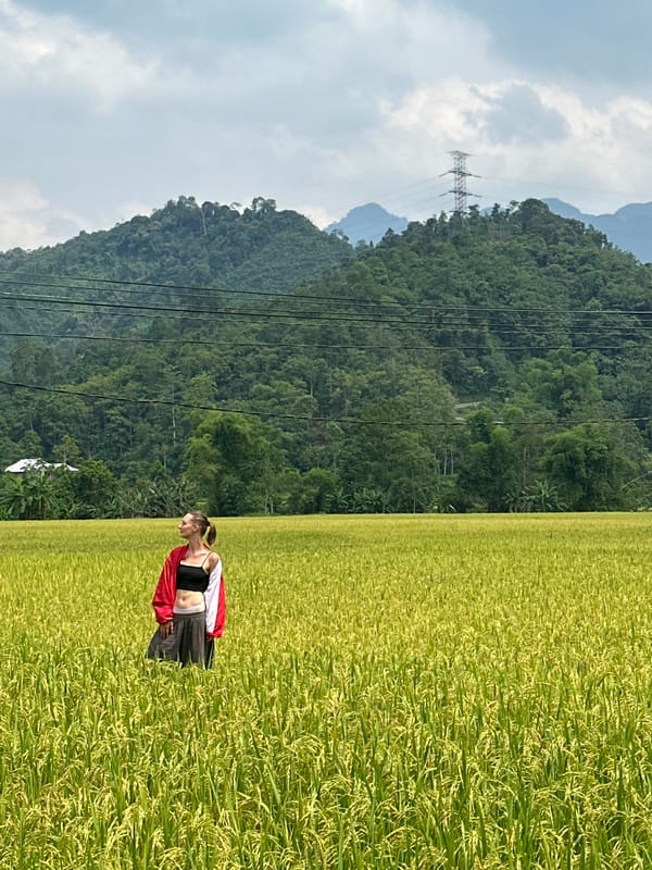 Woman poses for photos in Vietnamese rice fields