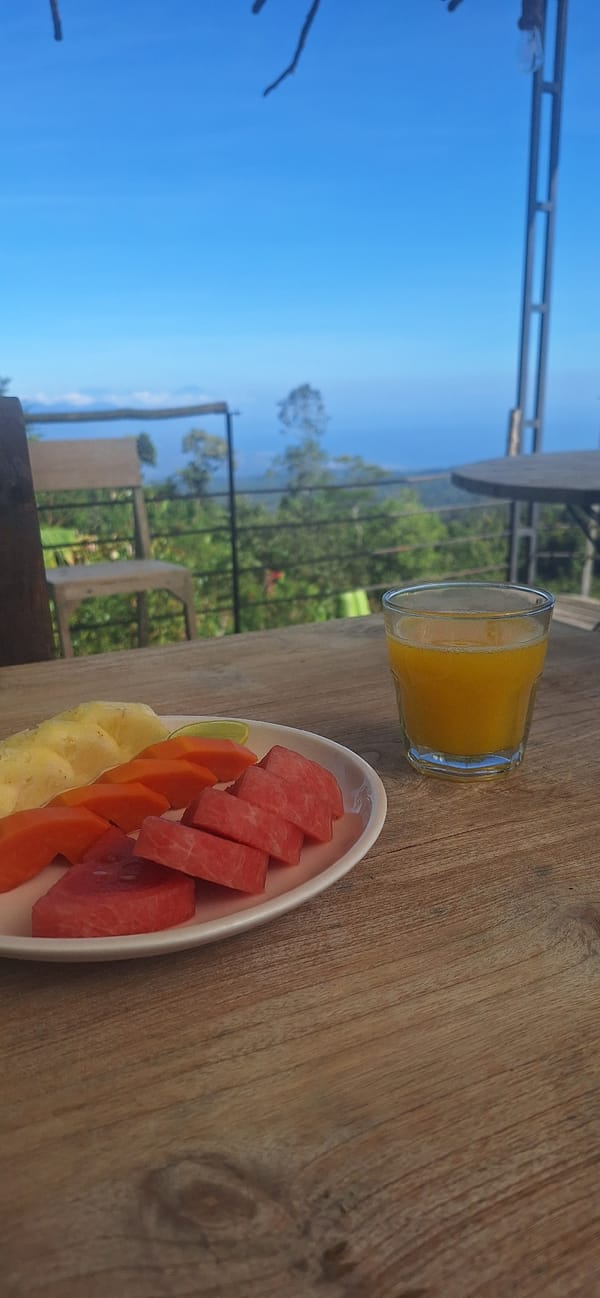 Hillside breakfast stop with big valley and ocean views
