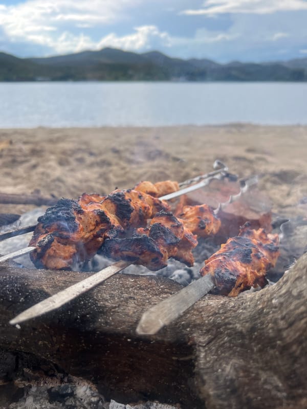 Meat on a log grill, dog dozing — beachside hangout in Kazakhstan