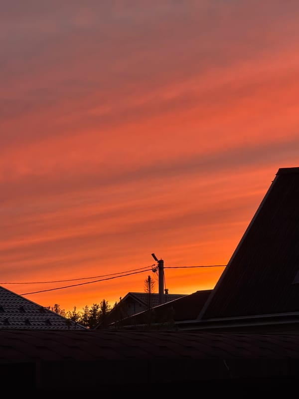 Evening sunset and domestic cat moments documented in Steklyannyi