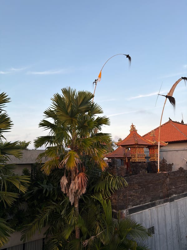 Traditional Penjor decorations spotted during sunrise in Mengwi, Indonesia