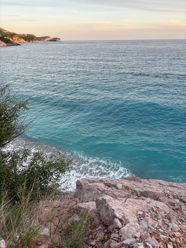 Sunset along the wildflower-lined rocky coast of Kamenovo