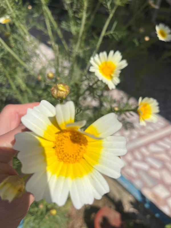 Easter table setting observed in Alanya, Turkey