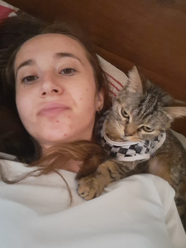 Tabby kitten in a checkered shirt chills on a chest indoors