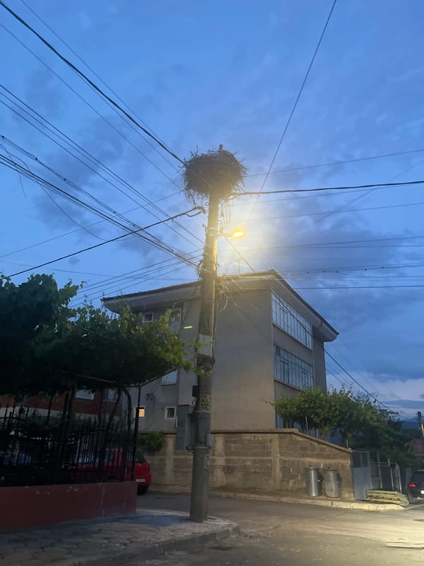Hour of everyday life documented in Pokrovnik, Bulgaria