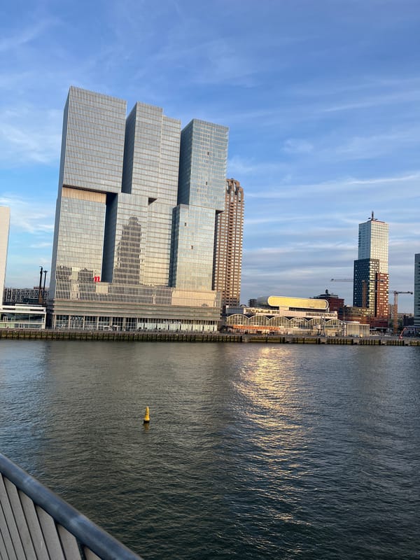 Evening scenes captured across Rotterdam's waterfront and streets
