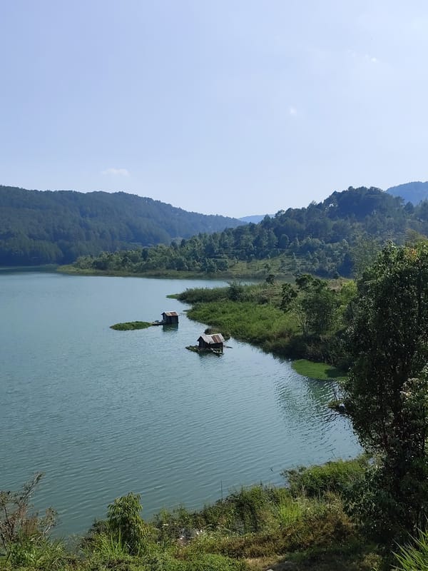Morning lake and forest scenery documented around Da Lat