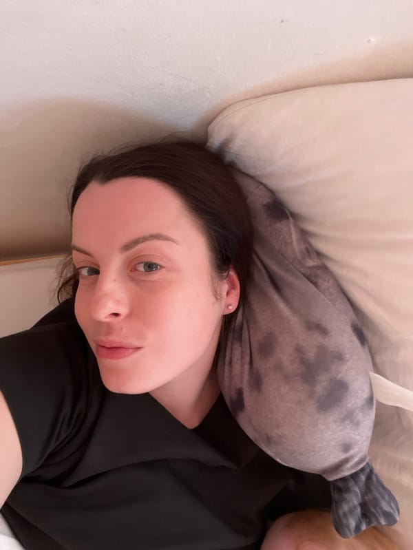 Woman and infant observed in Hohenbrunn attic bedroom