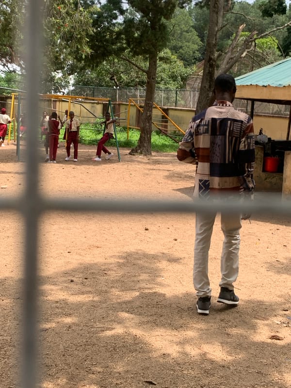 Visitors explore Jos Wildlife Park, observing chimpanzees and ostriches