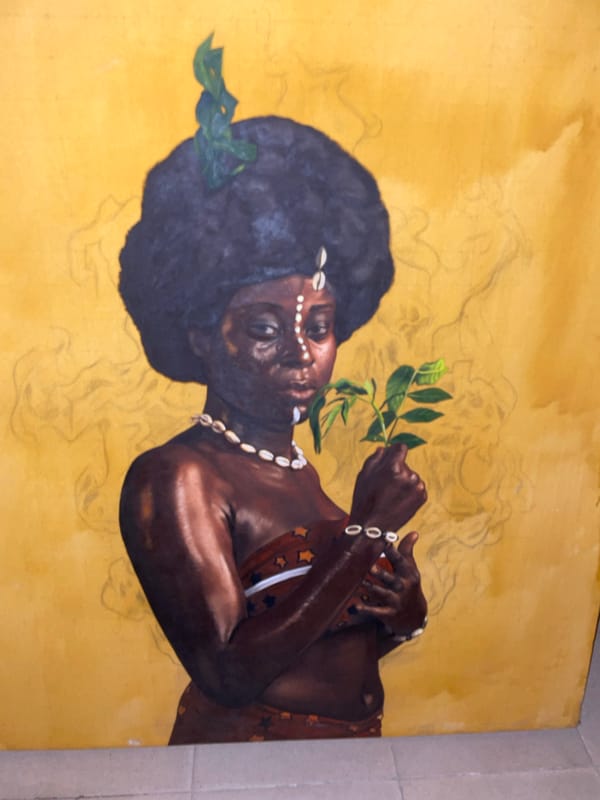 Art collection featuring Nigerian portraits documented in Ado