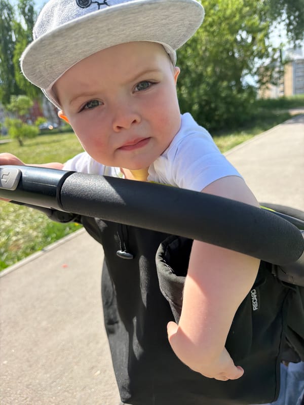 Child in stroller spotted at Votkinsk park waterfront