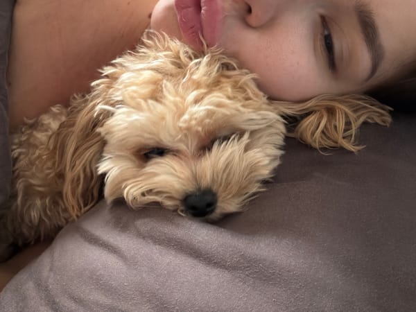 Person and dog share intimate moment in Moscow