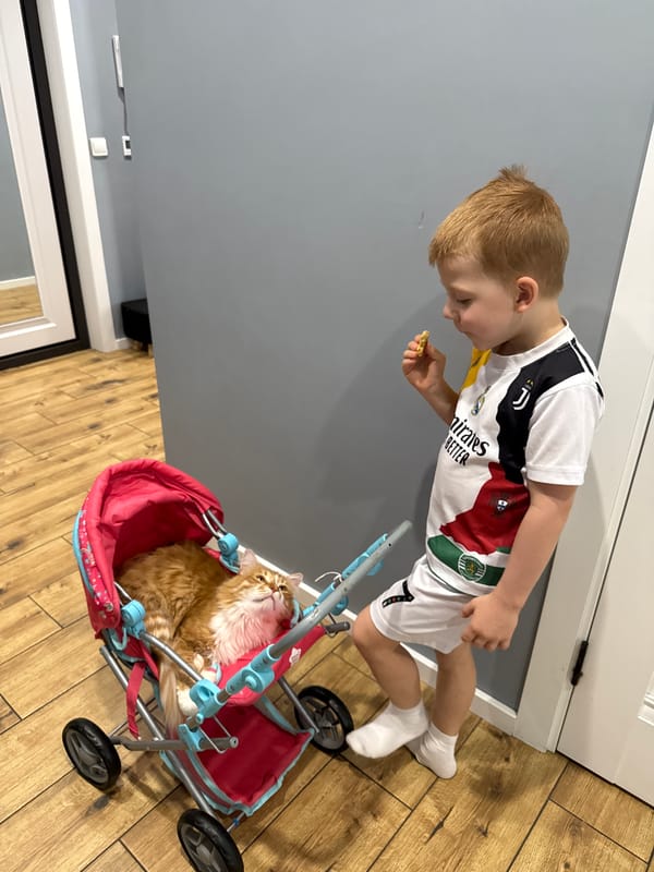 Child feeds cat in doll stroller indoors