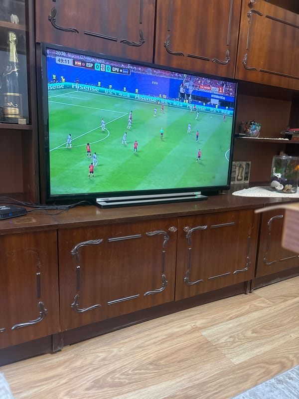 Tabby kitten naps through an afternoon of live football in Bulgaria
