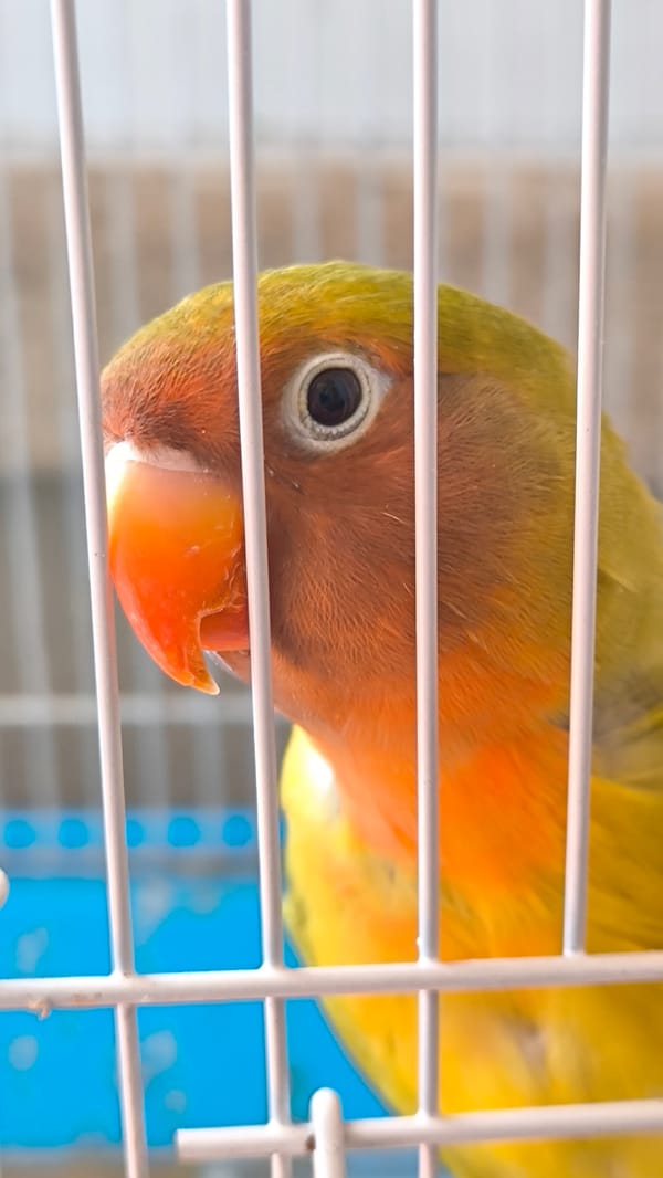 Everyday life moments captured across Ripollet, Spain Saturday morning