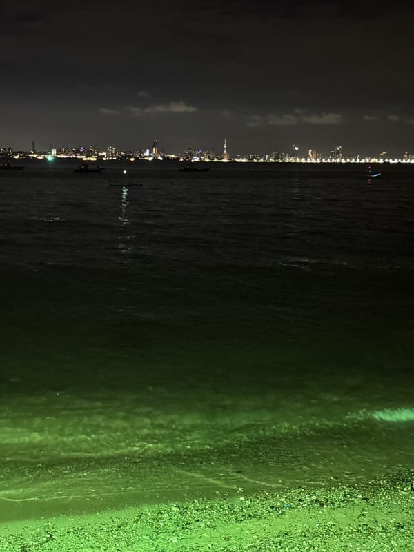 Woman enjoys poolside evening overlooking Pattaya City skyline