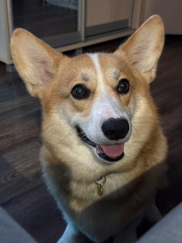 Dessert photographed multiple times in Votkinsk, Russia