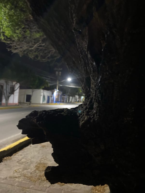 Nighttime photography session captures overhang and street scenes in Venezuela