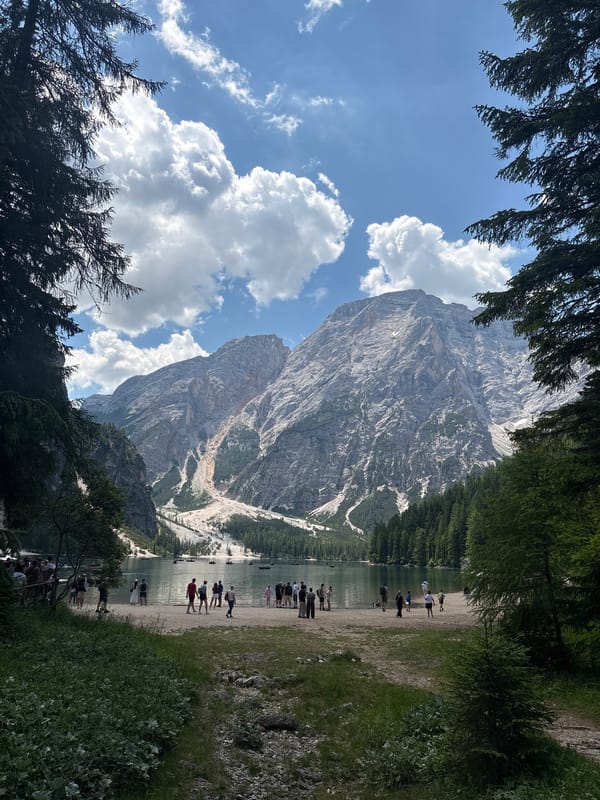 Morning at an alpine lake: hotel, trails, and a dog in the shallows