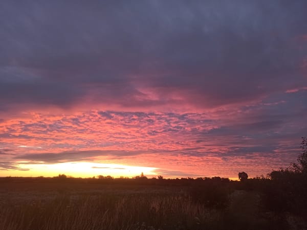 Dusky rural skies in purple, pink, and orange