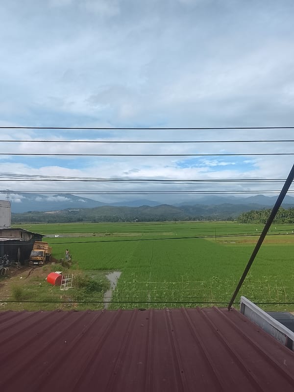 Rice paddies and village streets in rural Aceh, Indonesia