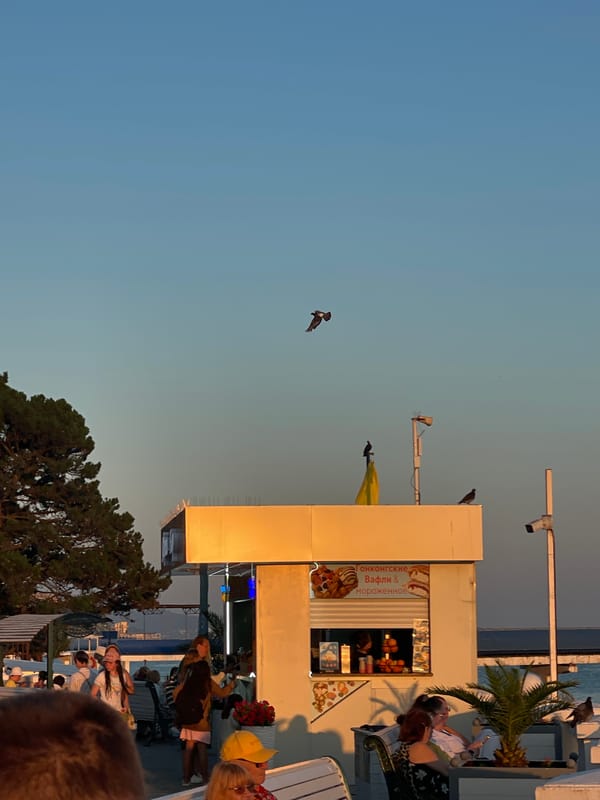 Sochi waterfront at golden hour: beach, cafes, and sunset