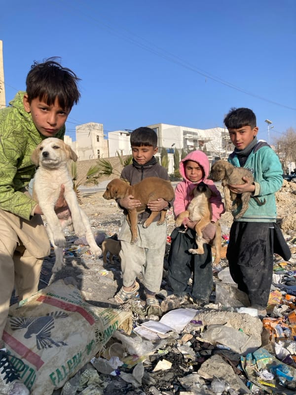 Children Care for Puppies in Quetta Trash-Strewn Area