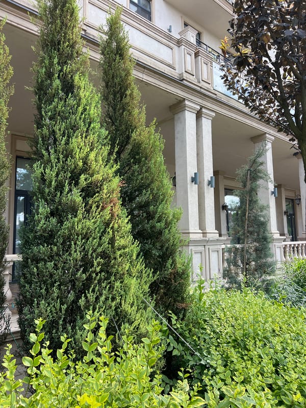 Summer afternoon stroll through a Fontanka residential garden area
