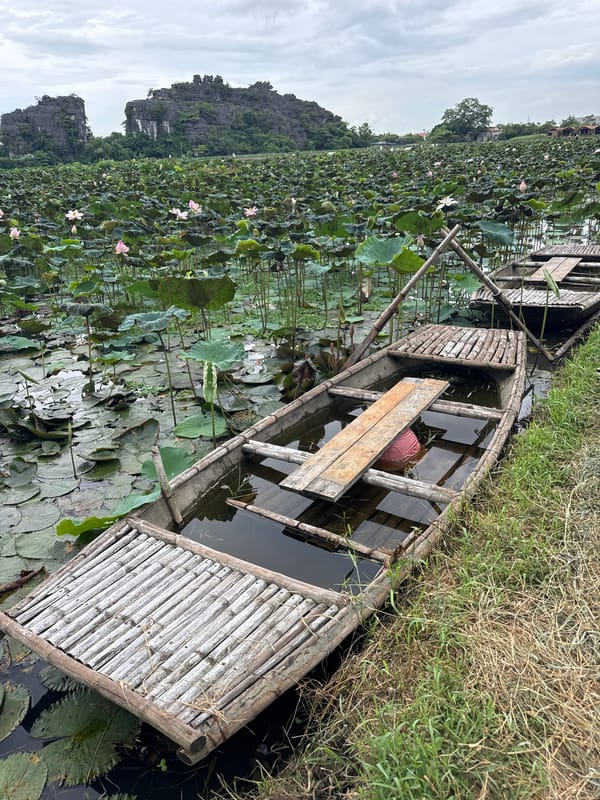 Lotus ponds and karst scenery at Hoa Lư, Vietnam