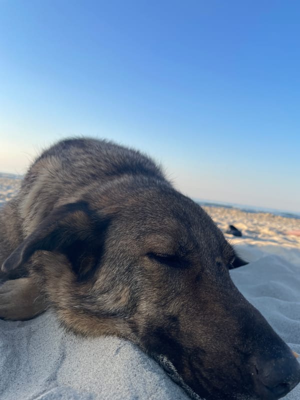 Greek beach from golden hour to full moon night