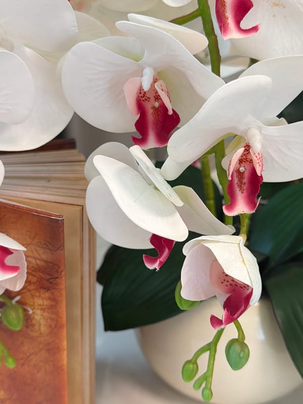 Styled flat lay: 'The Secret' in Russian with white orchids