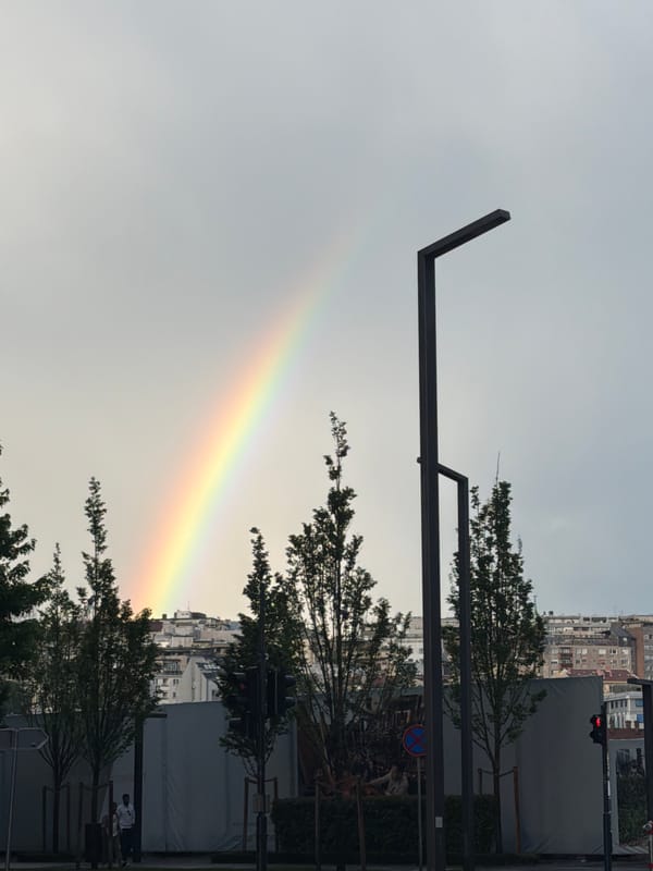 Rainbow appears over Belgrade after afternoon rain shower