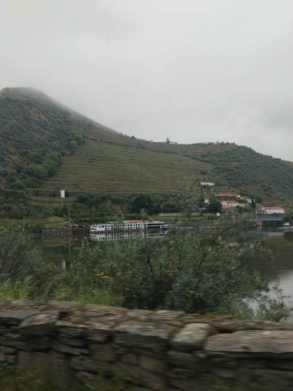 Fog shrouds terraced vineyards in Ervedosa do Douro, Portugal