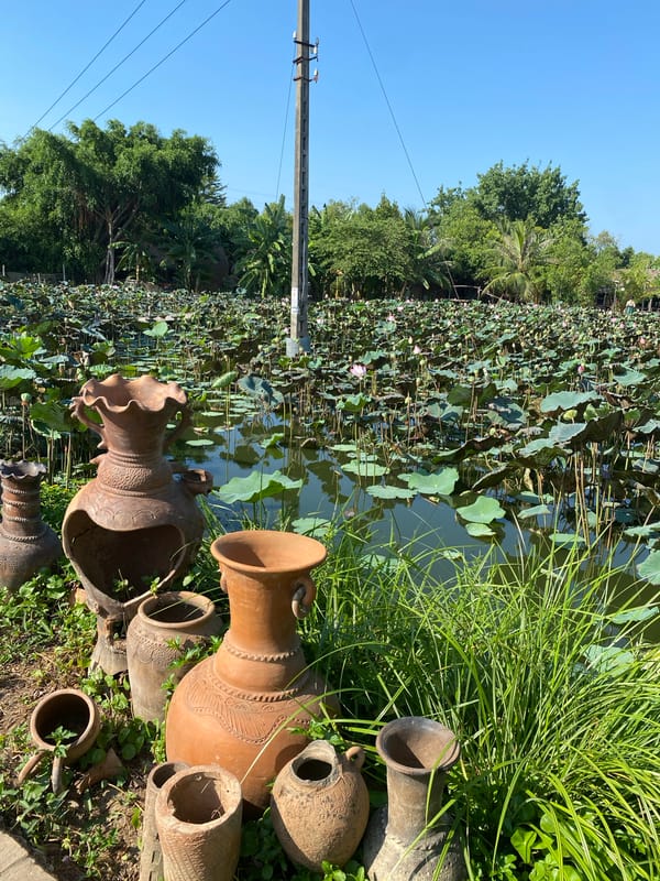 Morning at a lotus pond retreat in Nha Trang