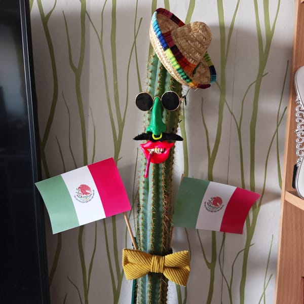 Decorative household items spotted in Rostov home display