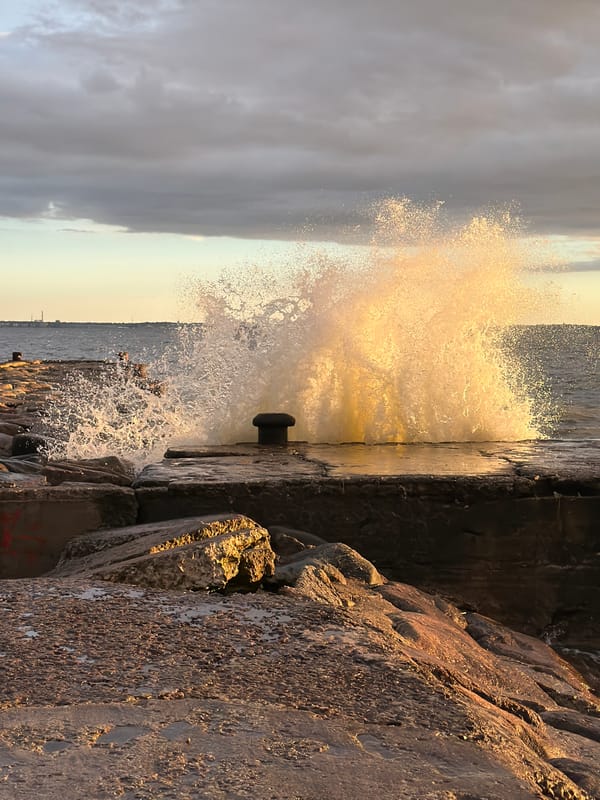 Baltic shoreline at golden hour, Tallinn coast