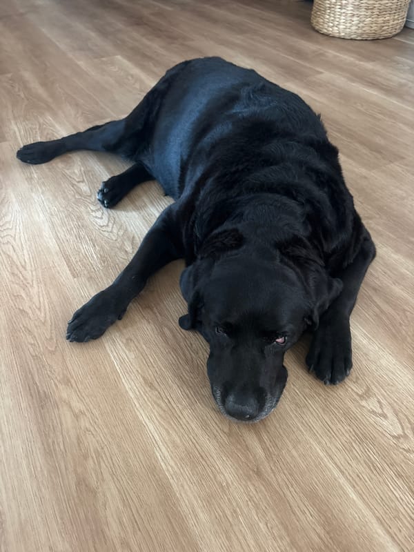 Morning snapshots capture daily life across Đà Nẵng homes and beach