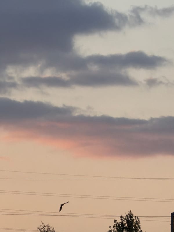 Dramatic sunset illuminates skies over Esch-sur-Alzette, Luxembourg