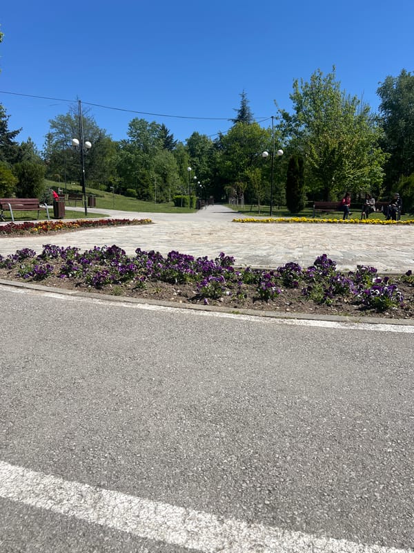 Morning walker pauses in Gotse Delchev park near flower beds