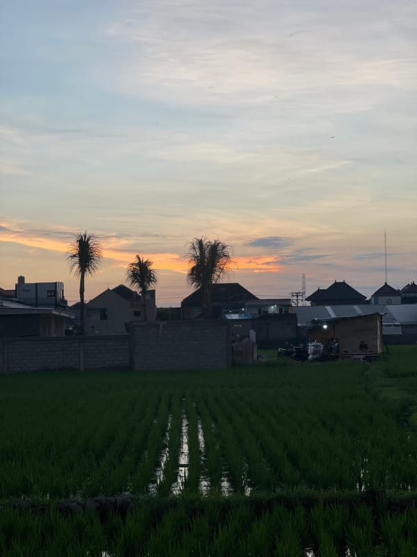 Sunset in a Mengwi village, rice paddies and everyday life